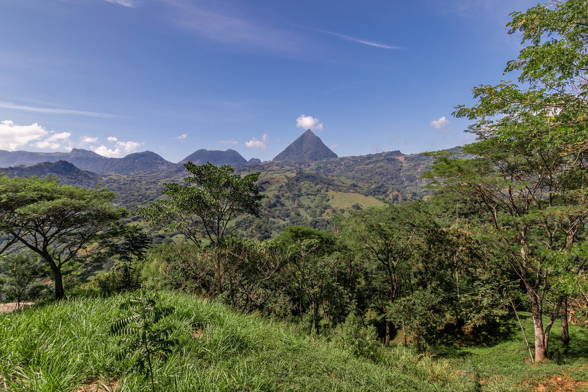 Cerro Tusa seen from Lote 90, La Siria