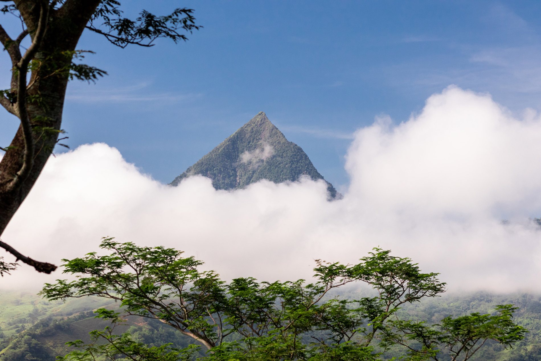 Cerro Tusa framed from the lot
